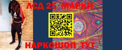 индика Новодвинск