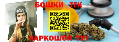 индика Новодвинск
