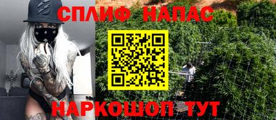 индика Новодвинск