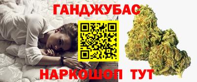 индика Новодвинск