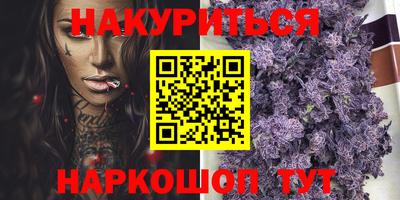 индика Новодвинск