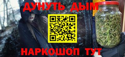 индика Новодвинск