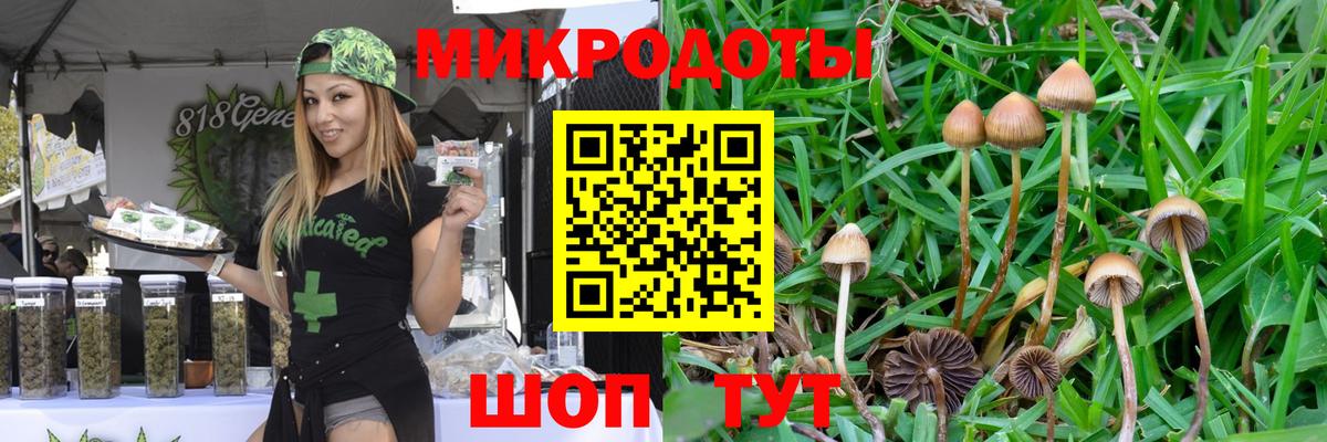 Псилоцибиновые грибы MAGIC MUSHROOMS Рославль